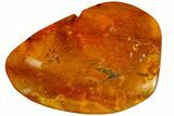 Detailed Fossil Leaf in Baltic Amber #183587-1